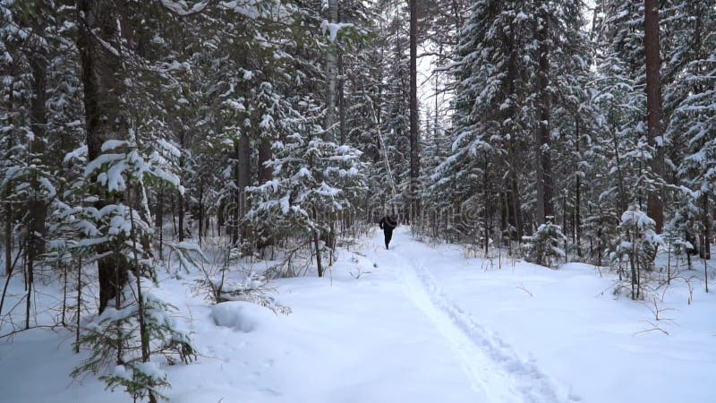 Ένας νεαρός άνδρας στα μαύρα ενδύματα τρέχει κατά μήκος μιας χιονισμένης δασικής πορείας