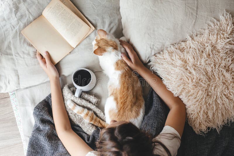 Έννοια Hygge με τη γάτα, το βιβλίο και τον καφέ στο κρεβάτι στοκ φωτογραφία