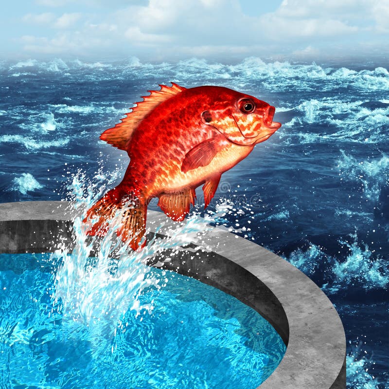 Courage concept and ambition symbol as a red fish jumping out of an artificial pool to join the natural blue ocean or farm raised seafood social issue. Courage concept and ambition symbol as a red fish jumping out of an artificial pool to join the natural blue ocean or farm raised seafood social issue.