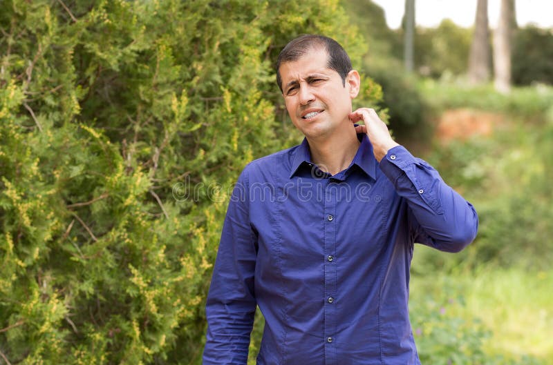 έντομα μου επιτίθενται το καλοκαίρι στοκ εικόνες