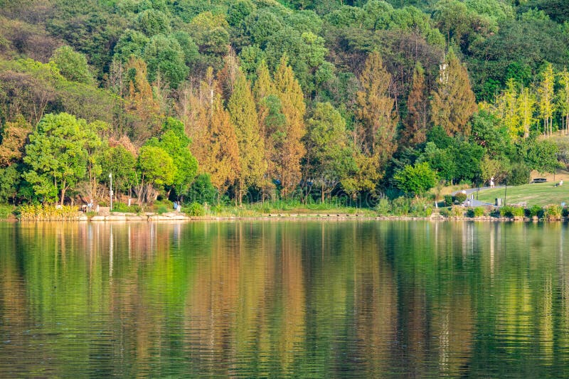 έντονα χρώματα νερό κύπελο δέντρα διάφανο μπλε ουρανός φουσκωτά λευκά σύννεφα στοκ φωτογραφία με δικαίωμα ελεύθερης χρήσης