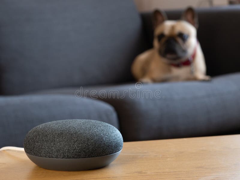 Έξυπνη συσκευή ομιλητή οικίας ενεργοποιημένη με σκύλο στο σαλόνι