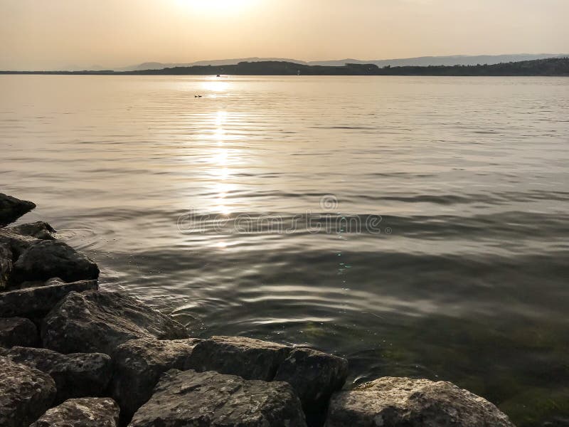 Ήλιος και φως βραδιού πέρα από τη λίμνη με τις αντανακλάσεις και τους ειρηνικούς κυματισμούς στη λίμνη Murten στην Ελβετία στοκ εικόνες με δικαίωμα ελεύθερης χρήσης Ήλιος και φως βραδιού πέρα από τη λίμνη με τις αντανακλάσεις και τους ειρηνικούς κυματισμούς στη λίμνη Murten στην Ελβετία στοκ εικόνες με δικαίωμα ελεύθερης χρήσης