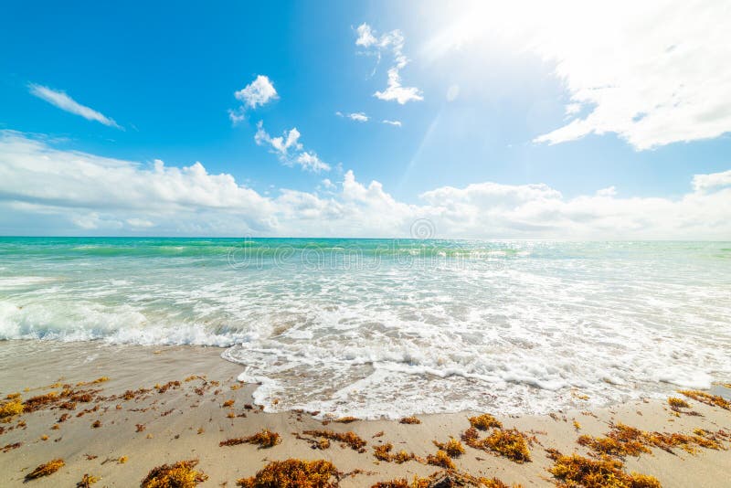 Ήλιος που λάμπει πέρα από την ακτή του Fort Lauderdale στοκ εικόνα