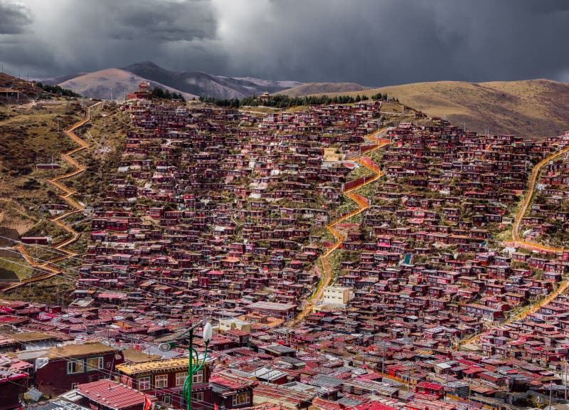 Ίδρυμα της Σέντα Tao, Sichuan, Κίνα στοκ φωτογραφίες Ίδρυμα της Σέντα Tao, Sichuan, Κίνα στοκ φωτογραφίες