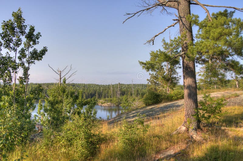 Ίχνος Gunflint στο ανώτερο εθνικό δρυμός, Μινεσότα στοκ εικόνες με δικαίωμα ελεύθερης χρήσης Ίχνος Gunflint στο ανώτερο εθνικό δρυμός, Μινεσότα στοκ εικόνες με δικαίωμα ελεύθερης χρήσης