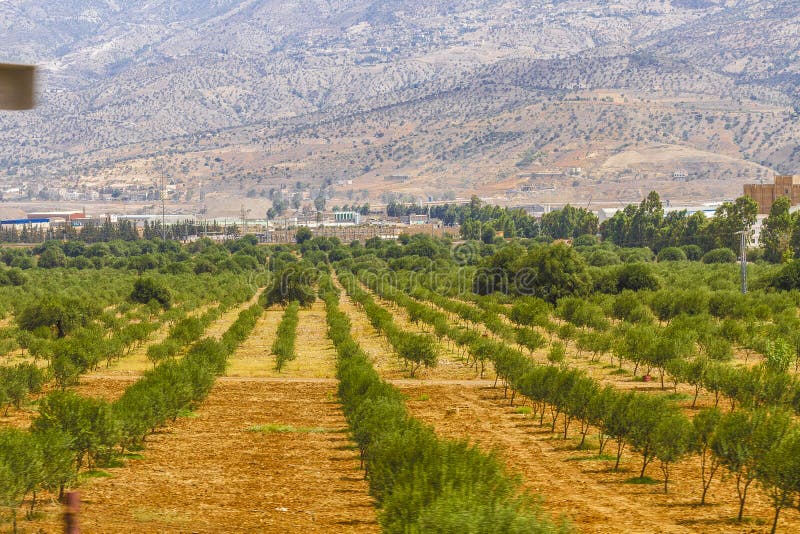Αγρόκτημα στοκ φωτογραφίες με δικαίωμα ελεύθερης χρήσης Αγρόκτημα στοκ φωτογραφίες με δικαίωμα ελεύθερης χρήσης