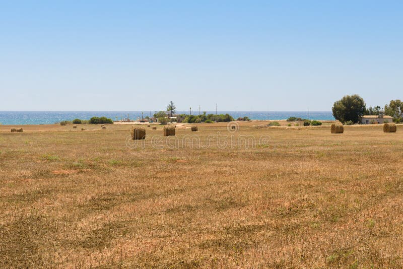 Αγρόκτημα που πτυχώνεται μακριά σε έναν σωρό του σανού στην ακτή στοκ φωτογραφία Αγρόκτημα που πτυχώνεται μακριά σε έναν σωρό του σανού στην ακτή στοκ φωτογραφία