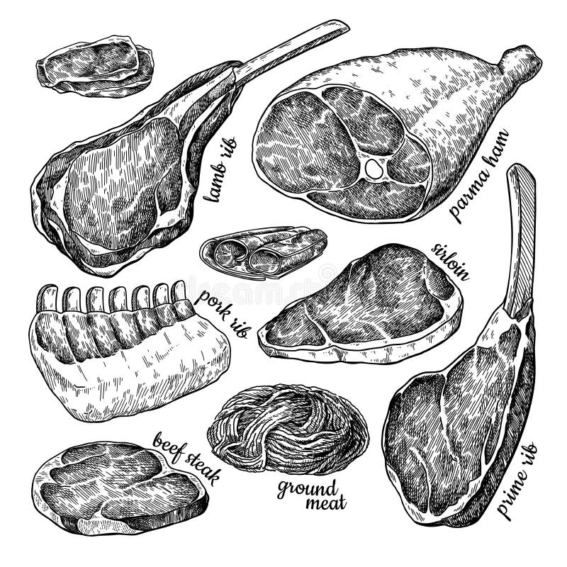 Raw meat set vector drawing. Hand drawn beef steak, pork ham, lamb rib, minced chicken forcemeat. Raw food ingredient. Vintage sketch. Butcher shop product. Great for label, restaurant menu. Raw meat set vector drawing. Hand drawn beef steak, pork ham, lamb rib, minced chicken forcemeat. Raw food ingredient. Vintage sketch. Butcher shop product. Great for label, restaurant menu.