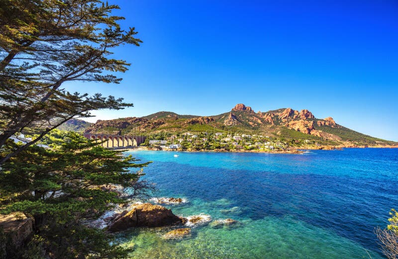 Ακτή, δέντρο και θάλασσα παραλιών βράχων Esterel Κοβάλτιο των Καννών Άγιος Raphael στοκ εικόνες Ακτή, δέντρο και θάλασσα παραλιών βράχων Esterel Κοβάλτιο των Καννών Άγιος Raphael στοκ εικόνες