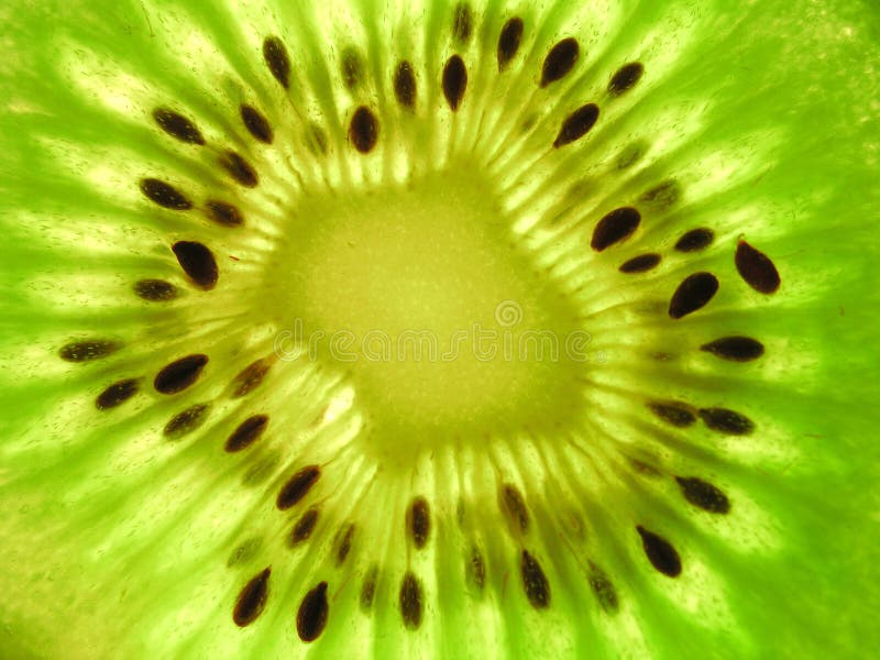 Kiwi Fruit - close-up. Kiwi Fruit - close-up