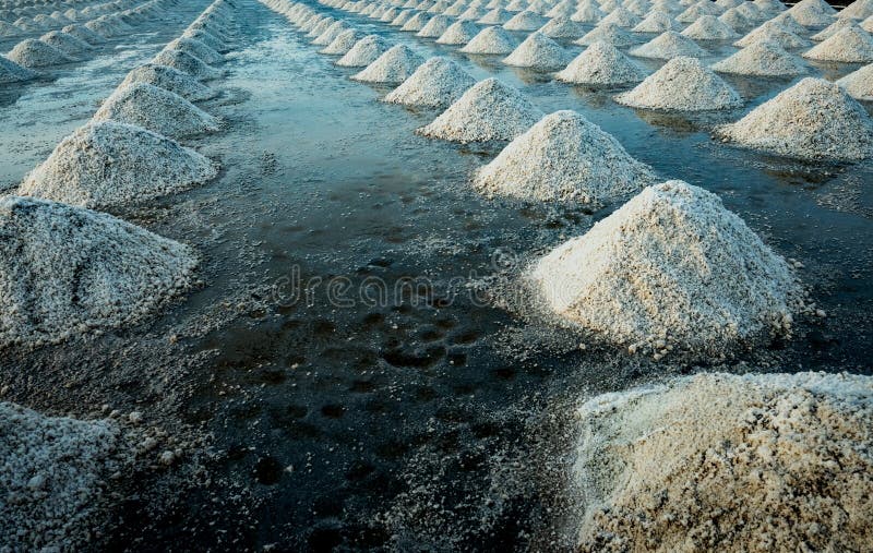 Αλατισμένο αγρόκτημα θάλασσας σε Samut Sakhon, Ταϊλάνδη Οργανικό άλας θάλασσας Εξάτμιση και κρυστάλλωση του θαλάσσιου νερού Πρώτη στοκ εικόνες Αλατισμένο αγρόκτημα θάλασσας σε Samut Sakhon, Ταϊλάνδη Οργανικό άλας θάλασσας Εξάτμιση και κρυστάλλωση του θαλάσσιου νερού Πρώτη στοκ εικόνες