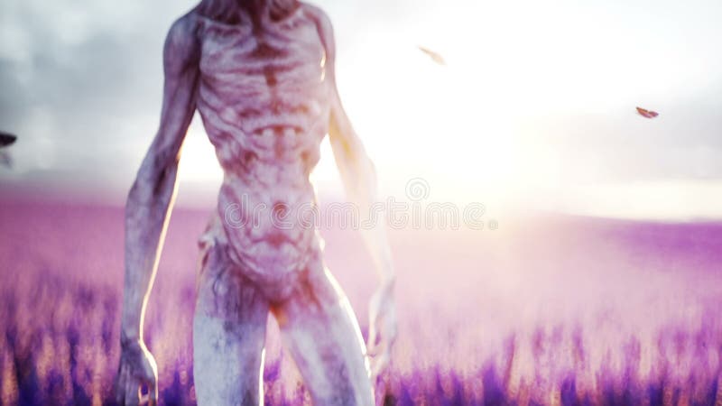 Αλλοδαπός με τις πεταλούδες lavender στον τομέα έννοια UFO Ρεαλιστική 4K ζωτικότητα απεικόνιση αποθεμάτων