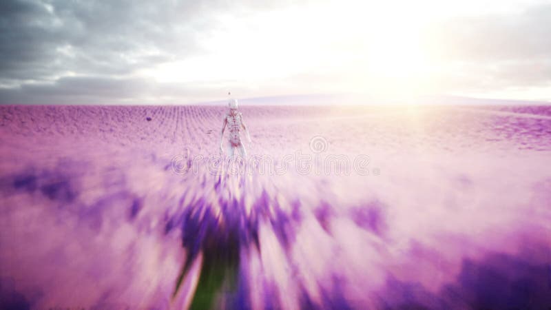 Αλλοδαπός με τις πεταλούδες lavender στον τομέα έννοια UFO Ρεαλιστική 4K ζωτικότητα απεικόνιση αποθεμάτων