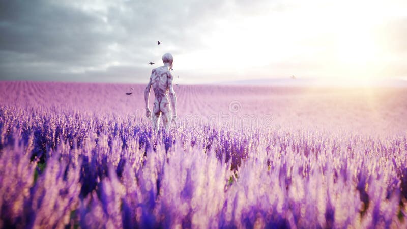 Αλλοδαπός με τις πεταλούδες lavender στον τομέα έννοια UFO Ρεαλιστική 4K ζωτικότητα διανυσματική απεικόνιση
