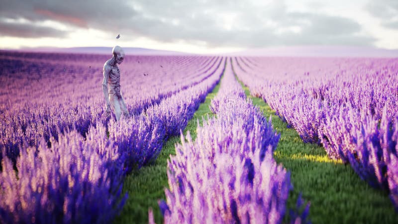 Αλλοδαπός με τις πεταλούδες lavender στον τομέα έννοια UFO Ρεαλιστική 4K ζωτικότητα απεικόνιση αποθεμάτων