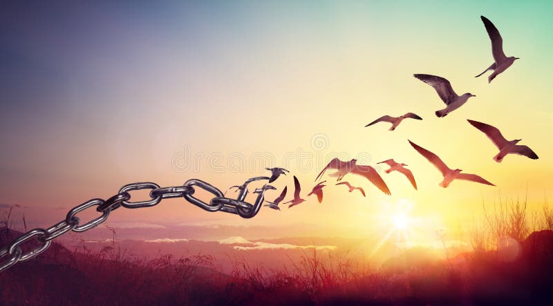 Freedom - Chains That Transform Into Birds - Charge Concept. Freedom - Chains That Transform Into Birds - Charge Concept