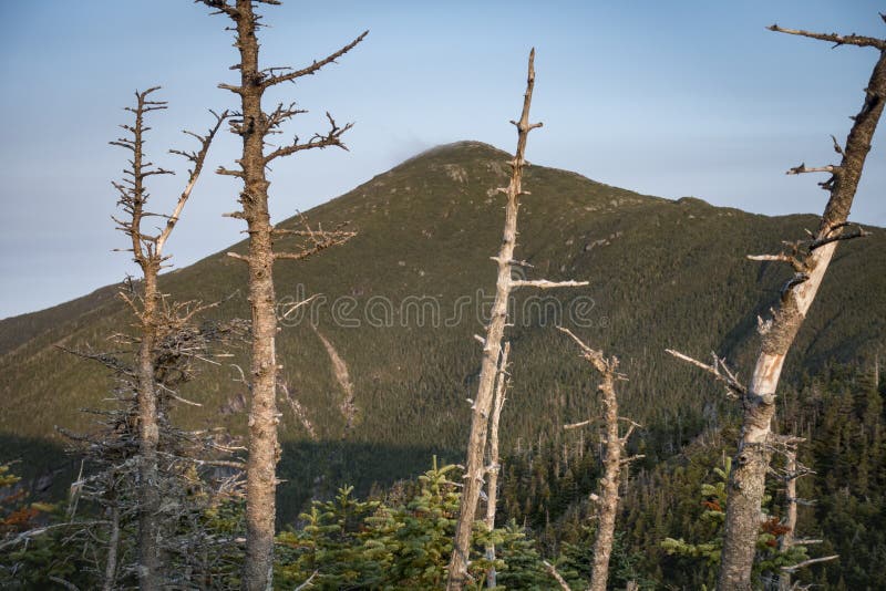 A long view of Mt. Marcy from Little Haystack Mountain in the Adirondack Mountains of New York State. A long view of Mt. Marcy from Little Haystack Mountain in the Adirondack Mountains of New York State