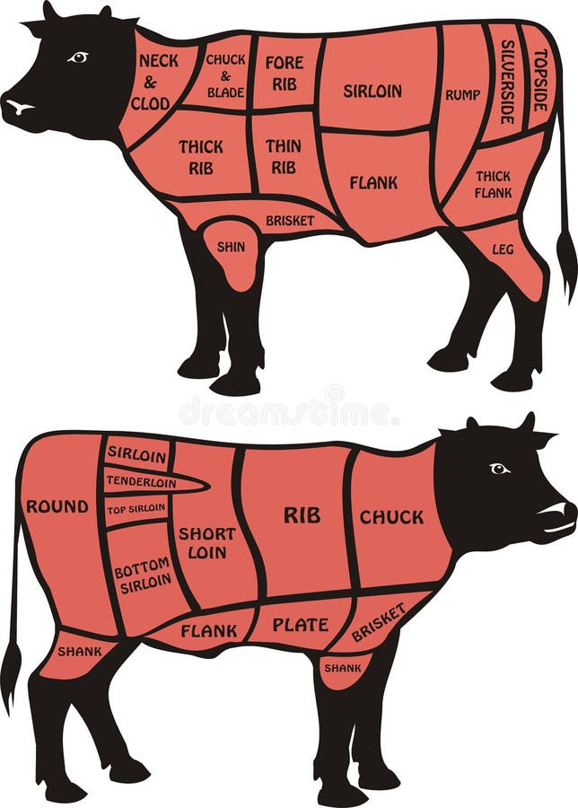 Beef diagram, the butcher`s meat counter. Beef diagram, the butcher`s meat counter