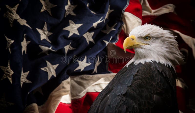 αμερικανική φαλακρή σημαία αετών