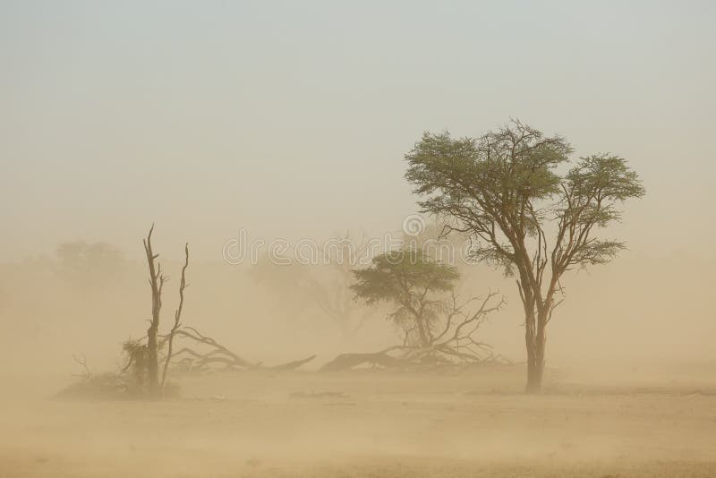 Αμμοθύελλα - έρημος της Καλαχάρης