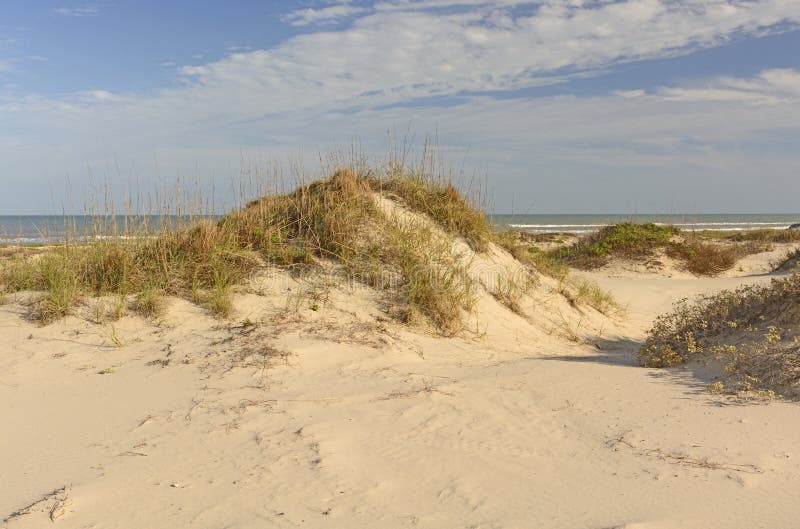 Αμμόλοφοι άμμου στην ακτή Κόλπων