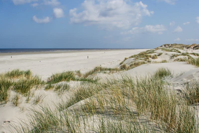 αμμώνες νήσοι βάντεν ολλανδία