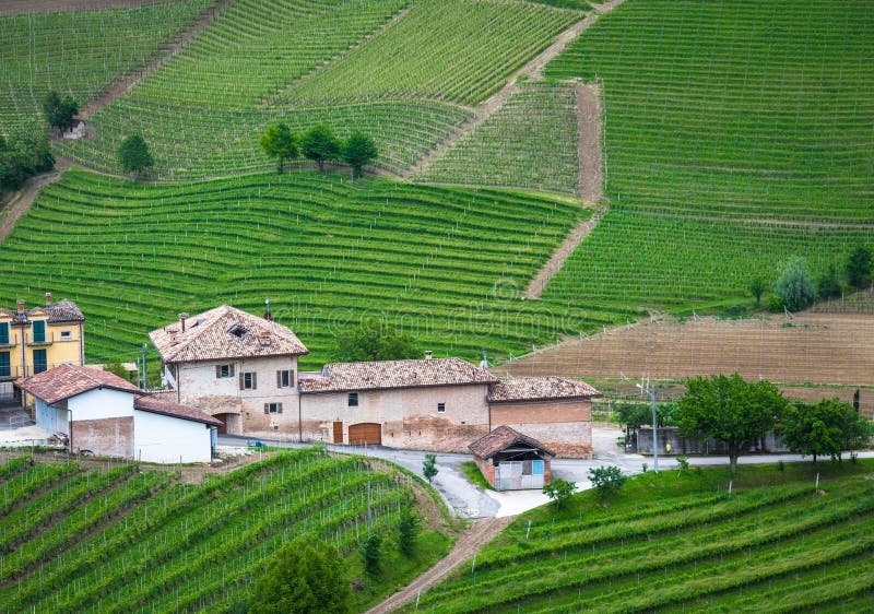 Αμπελώνες Langhe, Piedmont, περιοχή της ΟΥΝΕΣΚΟ στοκ εικόνα με δικαίωμα ελεύθερης χρήσης Αμπελώνες Langhe, Piedmont, περιοχή της ΟΥΝΕΣΚΟ στοκ εικόνα με δικαίωμα ελεύθερης χρήσης