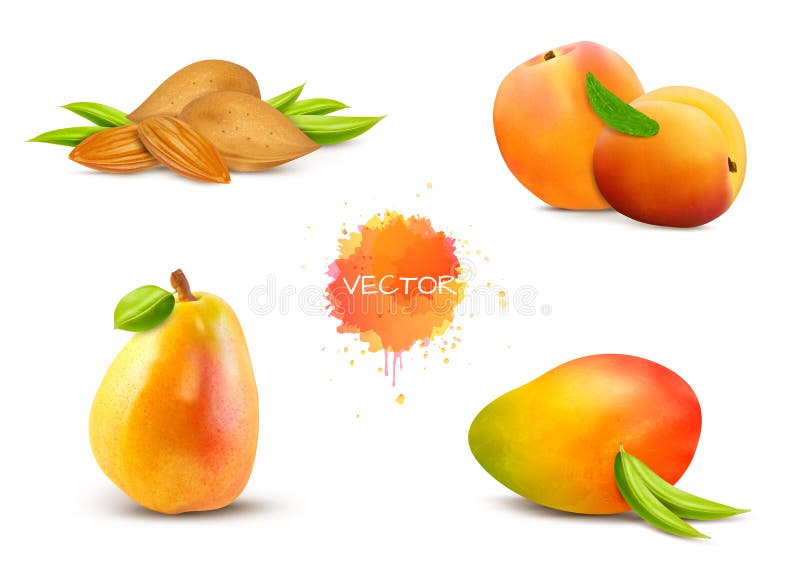 Nut almonds, apricot, pear, mango, peach with green leaves. Vector illustration. Fruit set isolated on white background. Nut almonds, apricot, pear, mango, peach with green leaves. Vector illustration. Fruit set isolated on white background.