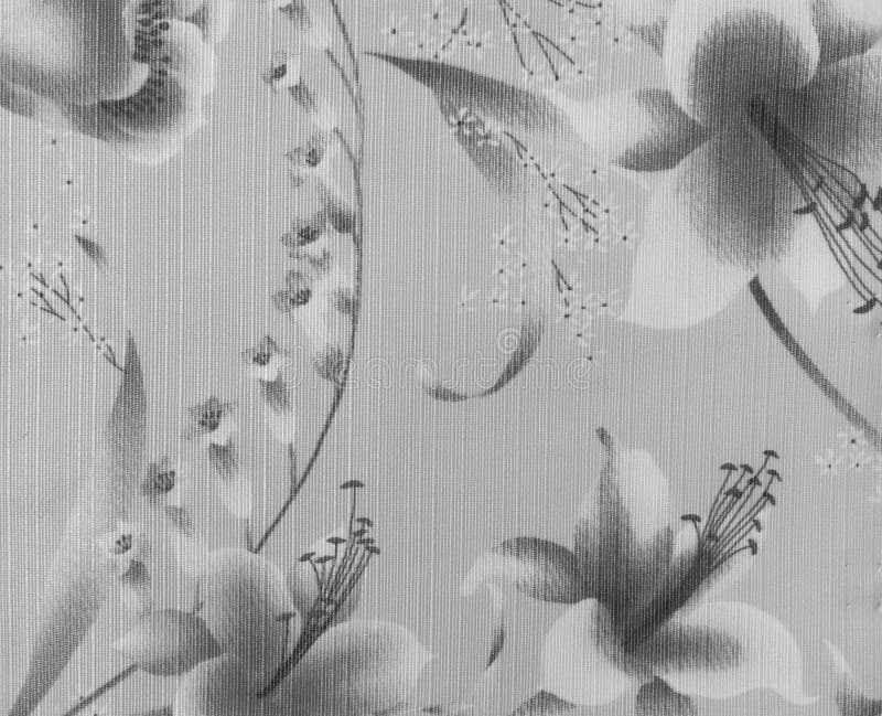 Αναδρομικό Floral άνευ ραφής σχέδιο δαντελλών στο Monotone γραπτό εκλεκτής ποιότητας υπόβαθρο υφάσματος ύφους στοκ εικόνες Αναδρομικό Floral άνευ ραφής σχέδιο δαντελλών στο Monotone γραπτό εκλεκτής ποιότητας υπόβαθρο υφάσματος ύφους στοκ εικόνες