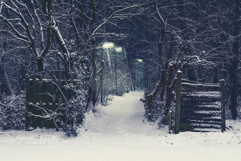 Ανατριχιαστικός δασικός δρόμος με αναμμένος lampposts σε μια σκοτεινή και χιονώδη χειμερινή νύχτα