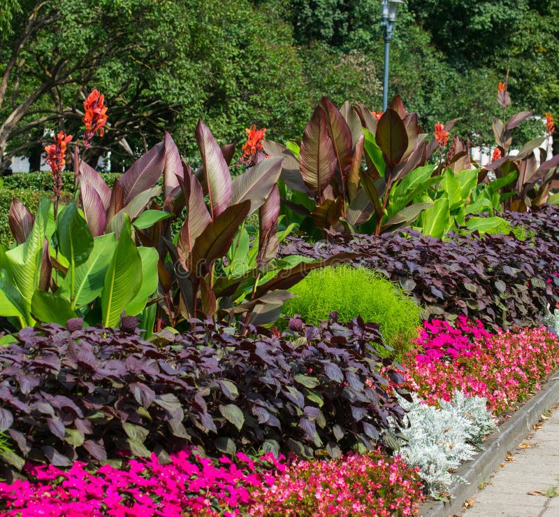 Ανθίζοντας ζωηρόχρωμα flowerbeds στο πάρκο θερινών πόλεων στη Ρήγα στοκ φωτογραφία με δικαίωμα ελεύθερης χρήσης Ανθίζοντας ζωηρόχρωμα flowerbeds στο πάρκο θερινών πόλεων στη Ρήγα στοκ φωτογραφία με δικαίωμα ελεύθερης χρήσης