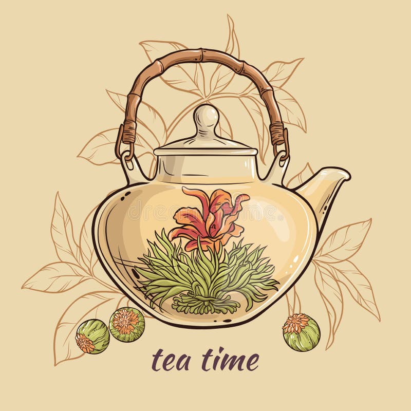 Vector Illustration with flowering tea in teapot on color background. Vector Illustration with flowering tea in teapot on color background