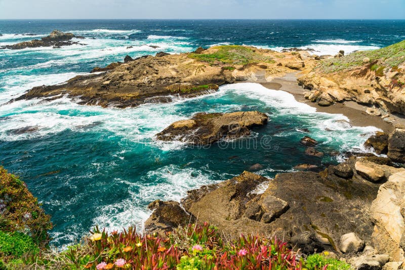 Ανθεκτική ακτογραμμή στο Point Lobos στοκ εικόνα με δικαίωμα ελεύθερης χρήσης