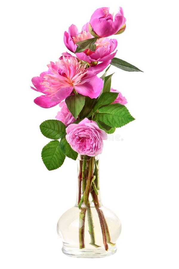 ανθοδέσμη των peonies με τα τριαντάφυλλα στοκ φωτογραφία ανθοδέσμη των peonies με τα τριαντάφυλλα στοκ φωτογραφία