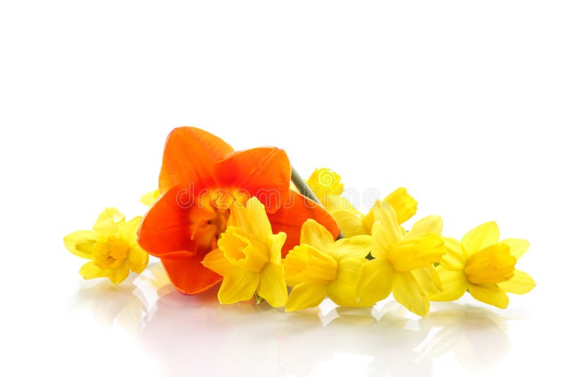 Ανθοδέσμη των κίτρινων daffodils με τις μικρές τουλίπες στοκ φωτογραφία με δικαίωμα ελεύθερης χρήσης
