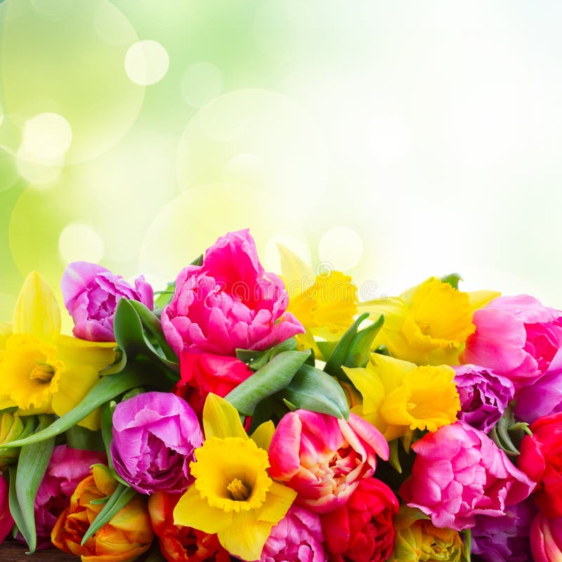 Ανθοδέσμη των τουλιπών και daffodils στοκ φωτογραφία Ανθοδέσμη των τουλιπών και daffodils στοκ φωτογραφία
