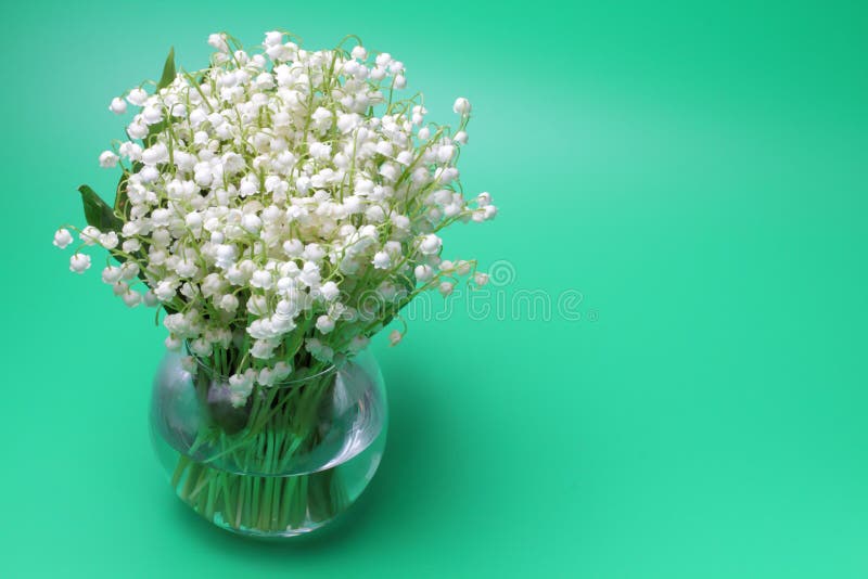 Ανθοδέσμη των δασικών κρίνων Convallaria στοκ εικόνες Ανθοδέσμη των δασικών κρίνων Convallaria στοκ εικόνες