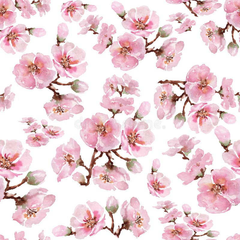 Flowering branch of Japanese sakura. Seamless pattern. Watercolor. Flowering branch of Japanese sakura. Seamless pattern. Watercolor