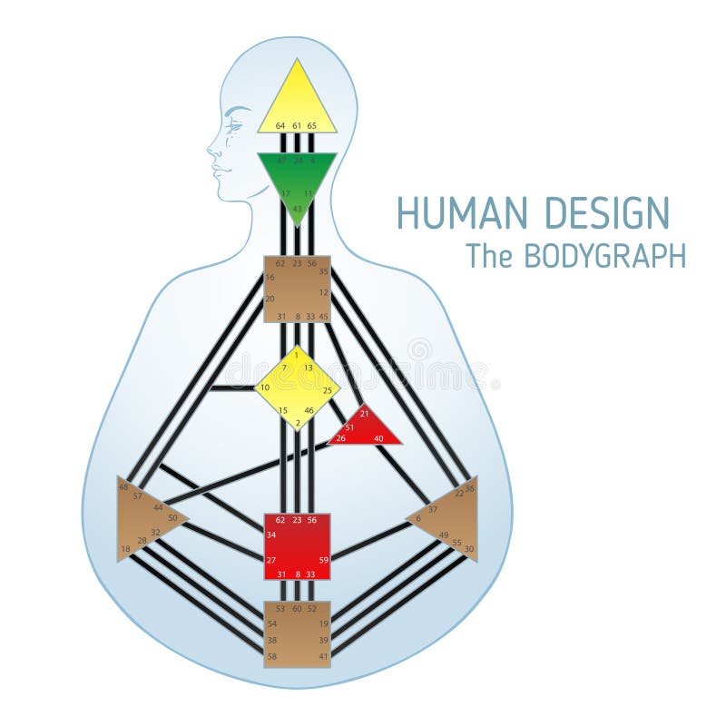 Ανθρώπινο σχέδιο διαγραμμάτων σχεδίου bodygraph Απομονωμένο διάνυσμα illustratio ελεύθερη απεικόνιση δικαιώματος Ανθρώπινο σχέδιο διαγραμμάτων σχεδίου bodygraph Απομονωμένο διάνυσμα illustratio ελεύθερη απεικόνιση δικαιώματος