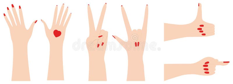 Human hand and funny gesture. Set of different gestures Cartoon vector illustration. Isolated on white background. Human hand and funny gesture. Set of different gestures Cartoon vector illustration. Isolated on white background