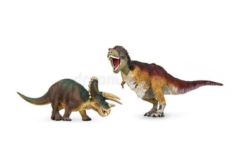 Αντίπαλος Triceratops δεινοσαύρων και τυραννόσαυρος rex στοκ φωτογραφίες με δικαίωμα ελεύθερης χρήσης Αντίπαλος Triceratops δεινοσαύρων και τυραννόσαυρος rex στοκ φωτογραφίες με δικαίωμα ελεύθερης χρήσης