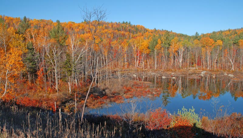 Autumn Foliage Color Reflection, Adirondacks, south of Keene Valley, New York. Autumn Foliage Color Reflection, Adirondacks, south of Keene Valley, New York