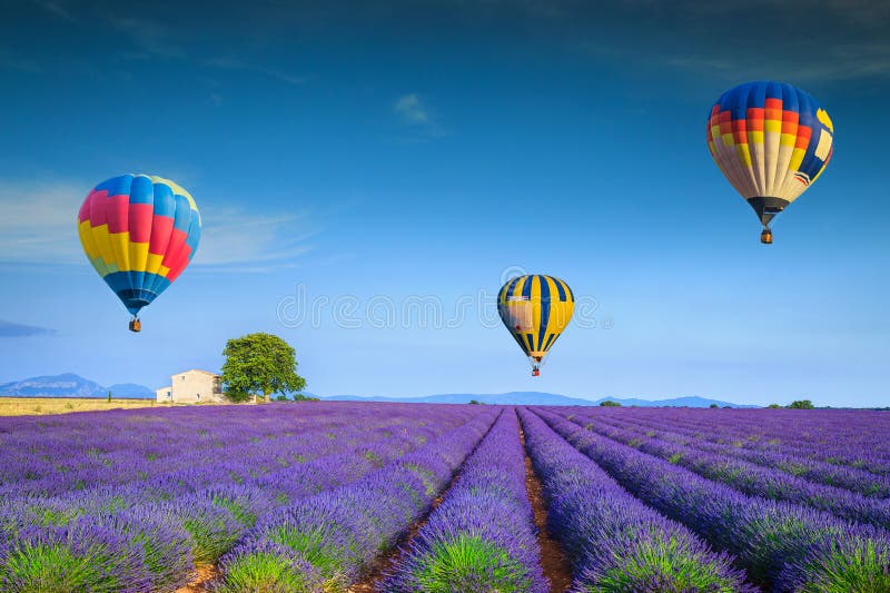 Αξιοθαύμαστοι ιώδεις lavender τομείς και ζωηρόχρωμα μπαλόνια ζεστού αέρα, Γαλλία στοκ φωτογραφίες Αξιοθαύμαστοι ιώδεις lavender τομείς και ζωηρόχρωμα μπαλόνια ζεστού αέρα, Γαλλία στοκ φωτογραφίες