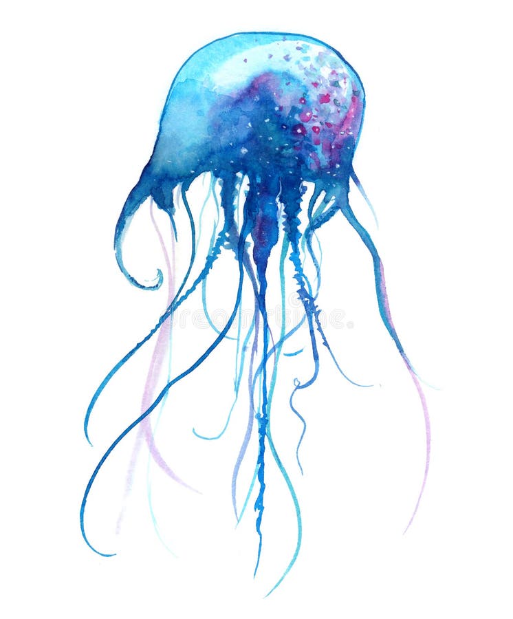 Απεικόνιση watercolor μεδουσών Χρωματισμένο medusa που απομονώνεται στο άσπρο υπόβαθρο, υποβρύχια άγρια φύση ελεύθερη απεικόνιση δικαιώματος Απεικόνιση watercolor μεδουσών Χρωματισμένο medusa που απομονώνεται στο άσπρο υπόβαθρο, υποβρύχια άγρια φύση ελεύθερη απεικόνιση δικαιώματος