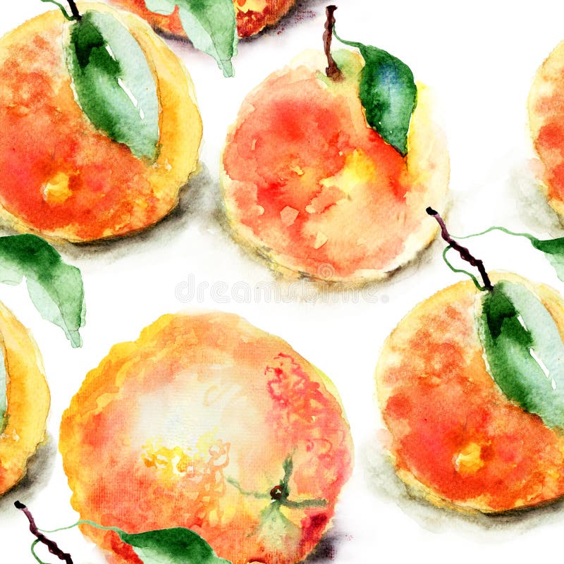 Απεικόνιση Watercolor των πορτοκαλιών απεικόνιση αποθεμάτων Απεικόνιση Watercolor των πορτοκαλιών απεικόνιση αποθεμάτων