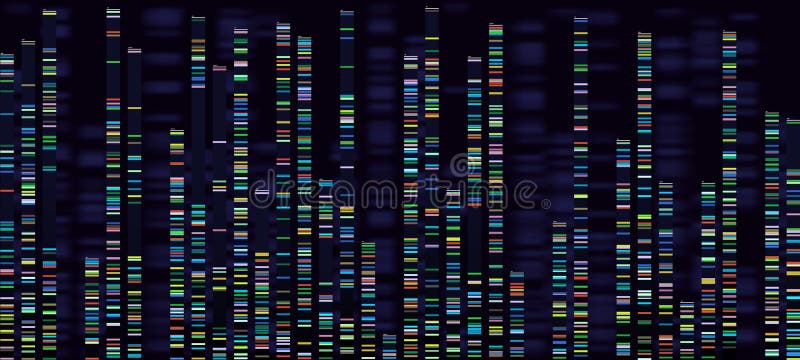 Genomic analysis visualization. Dna genomes sequencing, deoxyribonucleic acid genetic map and genome sequence analyse. Bioinformatics forensics data or dna radiographic testing vector concept. Genomic analysis visualization. Dna genomes sequencing, deoxyribonucleic acid genetic map and genome sequence analyse. Bioinformatics forensics data or dna radiographic testing vector concept