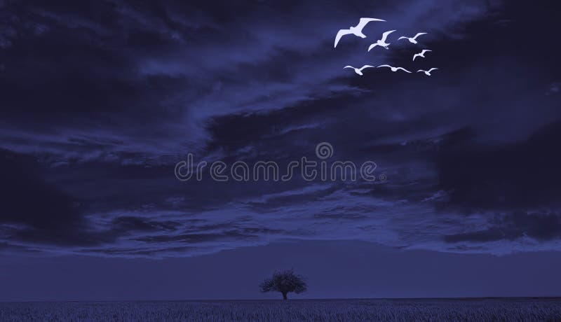 Illustration of an isolated tree and flying birds flock in cloudy sky in darkness. White birds against dark blue sky. Scary fearful mood. Mystic, sad, gloomy mood landscape, night, twilight, owls, star. Suitable for book-cover, wallpaper, background. Migratory Bird Malaysia . Illustration of an isolated tree and flying birds flock in cloudy sky in darkness. White birds against dark blue sky. Scary fearful mood. Mystic, sad, gloomy mood landscape, night, twilight, owls, star. Suitable for book-cover, wallpaper, background. Migratory Bird Malaysia