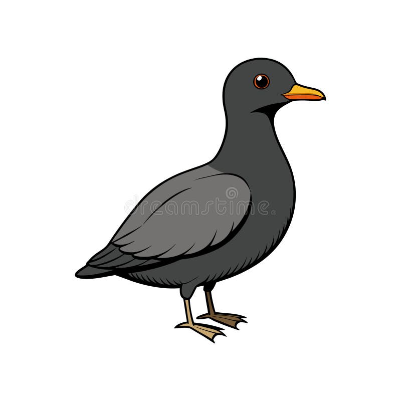 Απεικόνιση ζωντανών καζίνων Auklet διανυσματική απεικόνιση