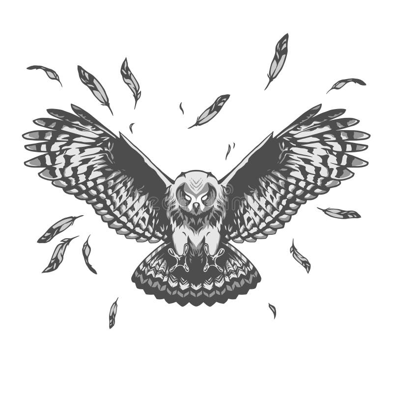 Owl illustration in vector on white background. Owl illustration in vector on white background